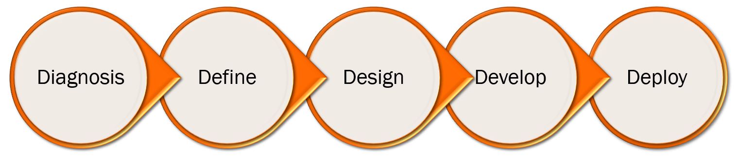 BVC 5Ds Organization and People Development Process